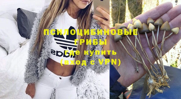 стафф Карабаш