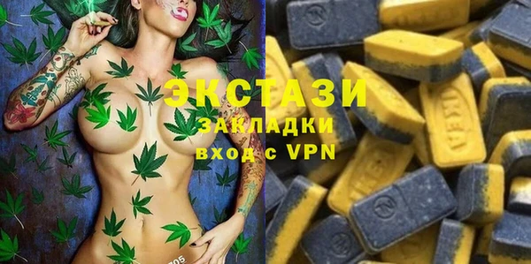 тгк Кирсанов