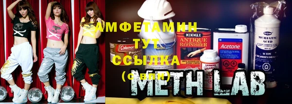 тгк Каменка