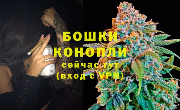 a pvp Киселёвск